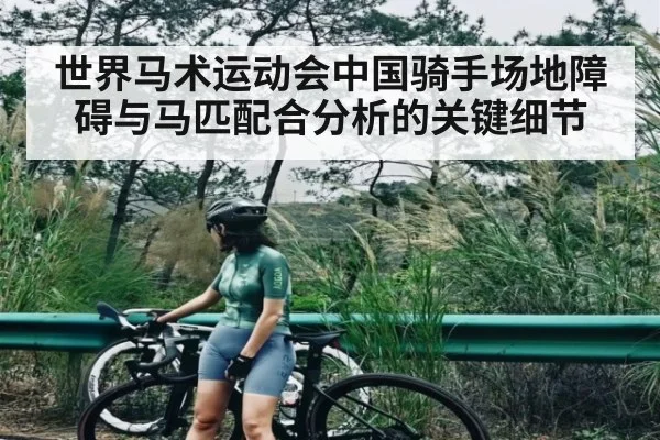 世界马术运动会中国骑手场地障碍与马匹配合分析的关键细节（c7entertainment）